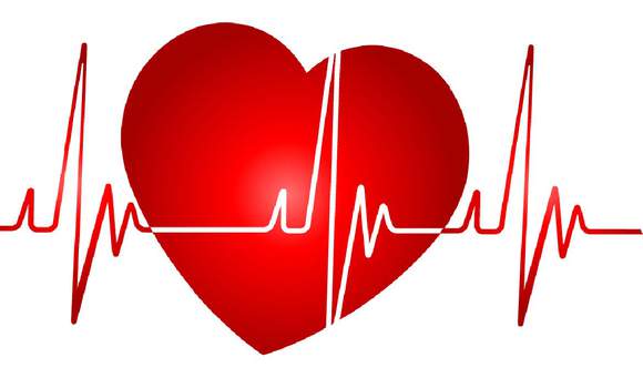 heart