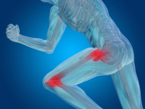 hip and knee
