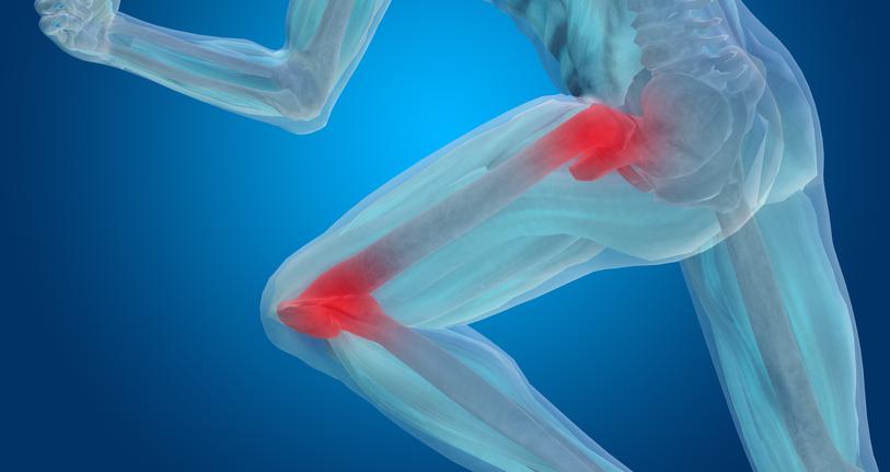hip and knee