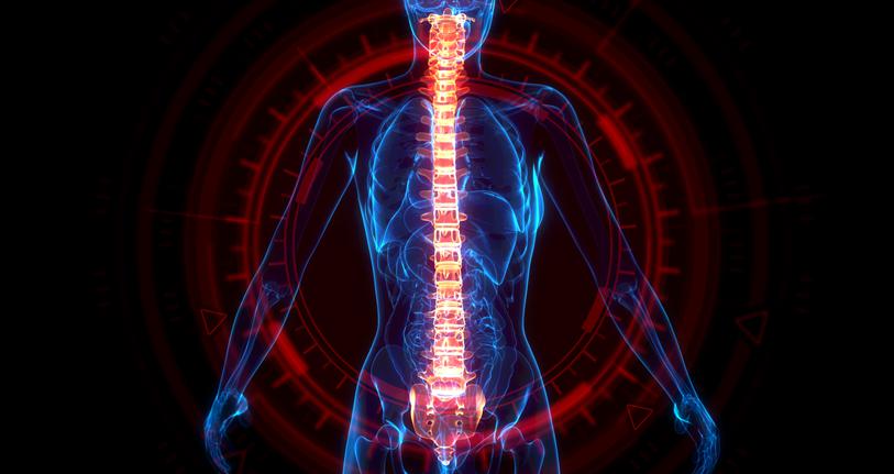 Spine care services doctor